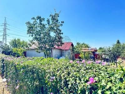 Propriété Rurale avec Deux Maisons, Piscine et Verger – Corlatesti, Prahova - foto 16