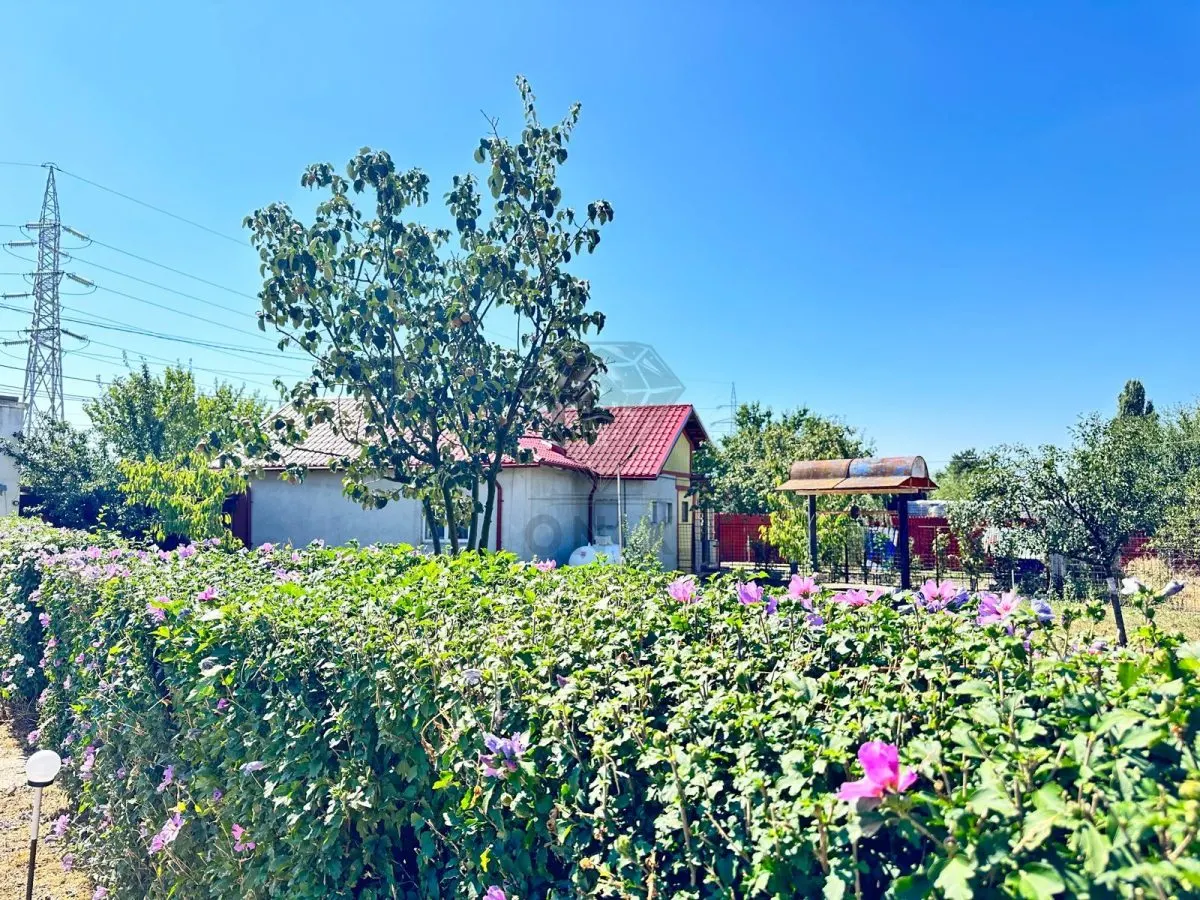 Propriété Rurale avec Deux Maisons, Piscine et Verger – Corlatesti, Prahova - foto 16