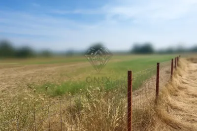 利帕内什蒂可建设用地出售，可分割为1000平方米地块 - Lipanesti
