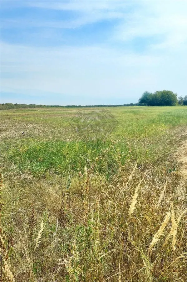 利帕内什蒂可建设用地出售，可分割为1000平方米地块 - foto 2