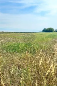 利帕内什蒂可建设用地出售，可分割为1000平方米地块 - foto 4