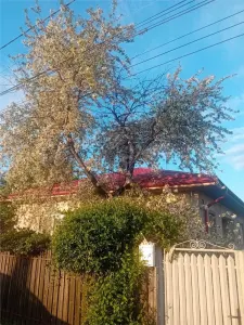 New Single-Storey House | 3 Bedrooms | Vadu Sapat, Prahova - Vadu Sapat