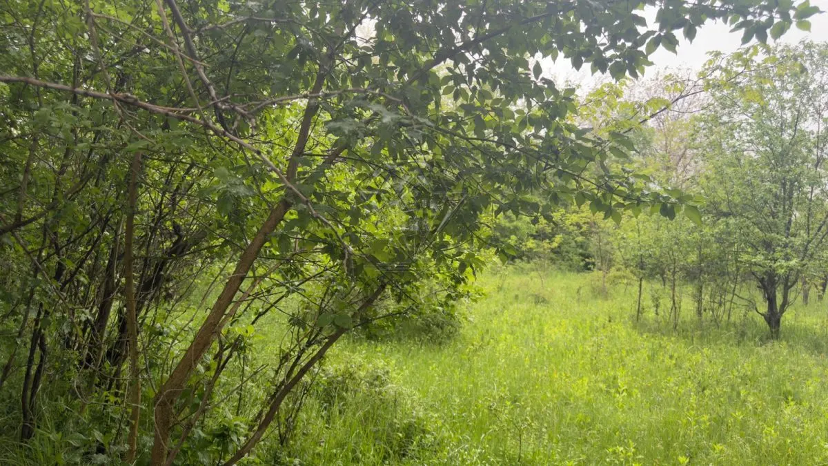 科尔努普拉霍瓦州住宅用地出售 | 50欧元/平米 - foto 2