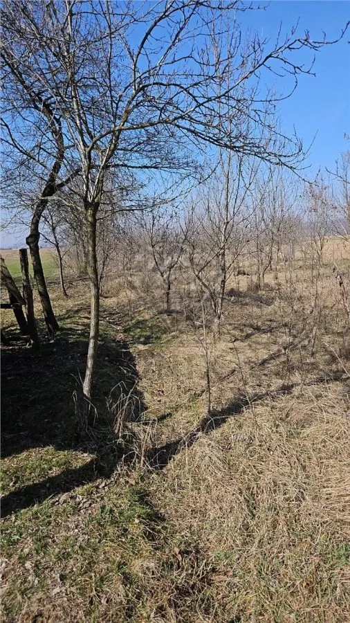 Terreno Mehedința, Prahova - foto 2