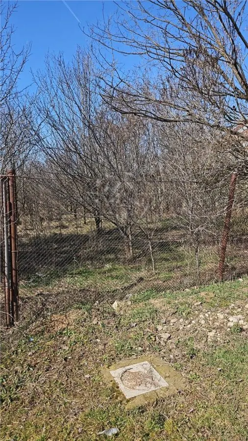 Terreno Mehedința, Prahova - foto 3
