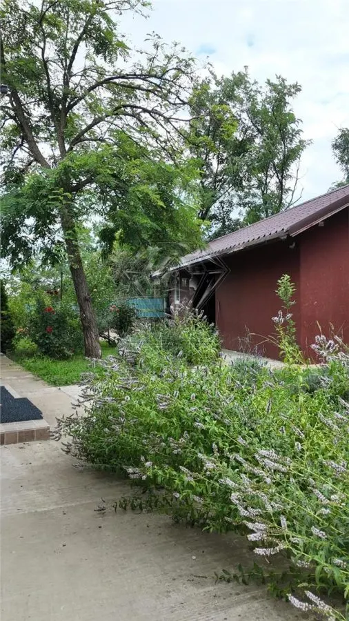 Casa en Venta Baraitaru, Draganesti, Prahova - foto 23