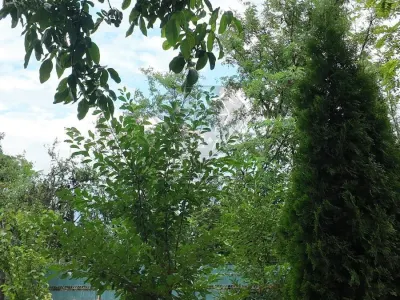 Casa en Venta Baraitaru, Draganesti, Prahova - foto 8