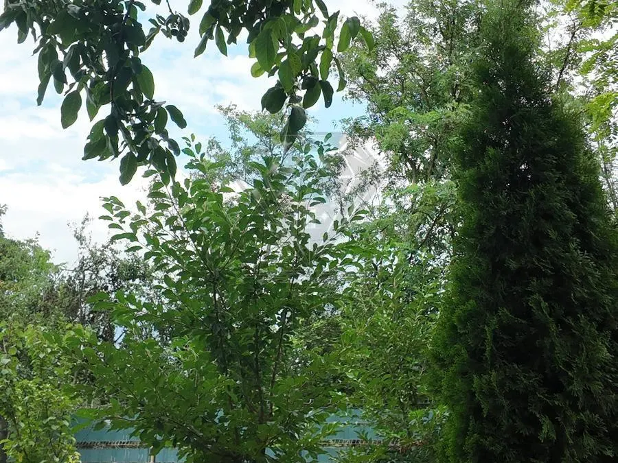 Casa en Venta Baraitaru, Draganesti, Prahova - foto 8