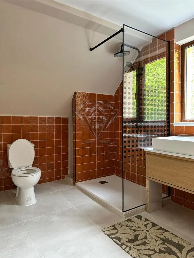 Maison Rénovée P+M 2025, 111 m², 3.029 m² Terrain, Drajna de Sus - foto 16