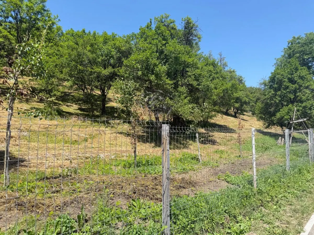 Valea Doftanei山谷Tesila地块 — 公用设施接驳，背靠森林 - foto 1