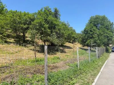 Valea Doftanei山谷Tesila地块 — 公用设施接驳，背靠森林 - foto 2