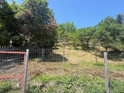 Valea Doftanei山谷Tesila地块 — 公用设施接驳，背靠森林 - foto 3