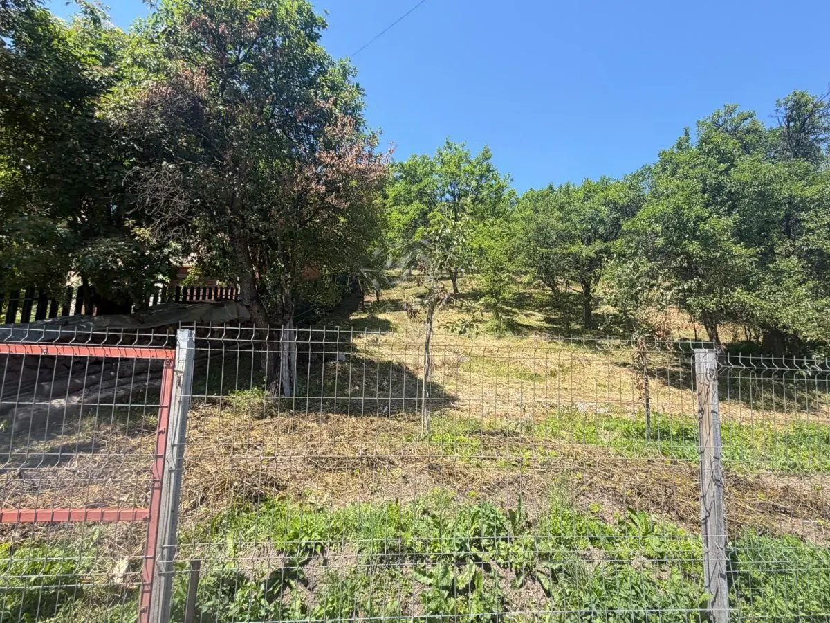 Valea Doftanei山谷Tesila地块 — 公用设施接驳，背靠森林 - foto 3