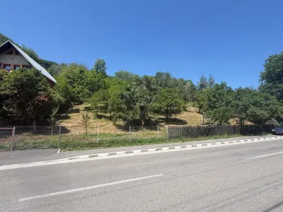 Valea Doftanei山谷Tesila地块 — 公用设施接驳，背靠森林 - foto 4