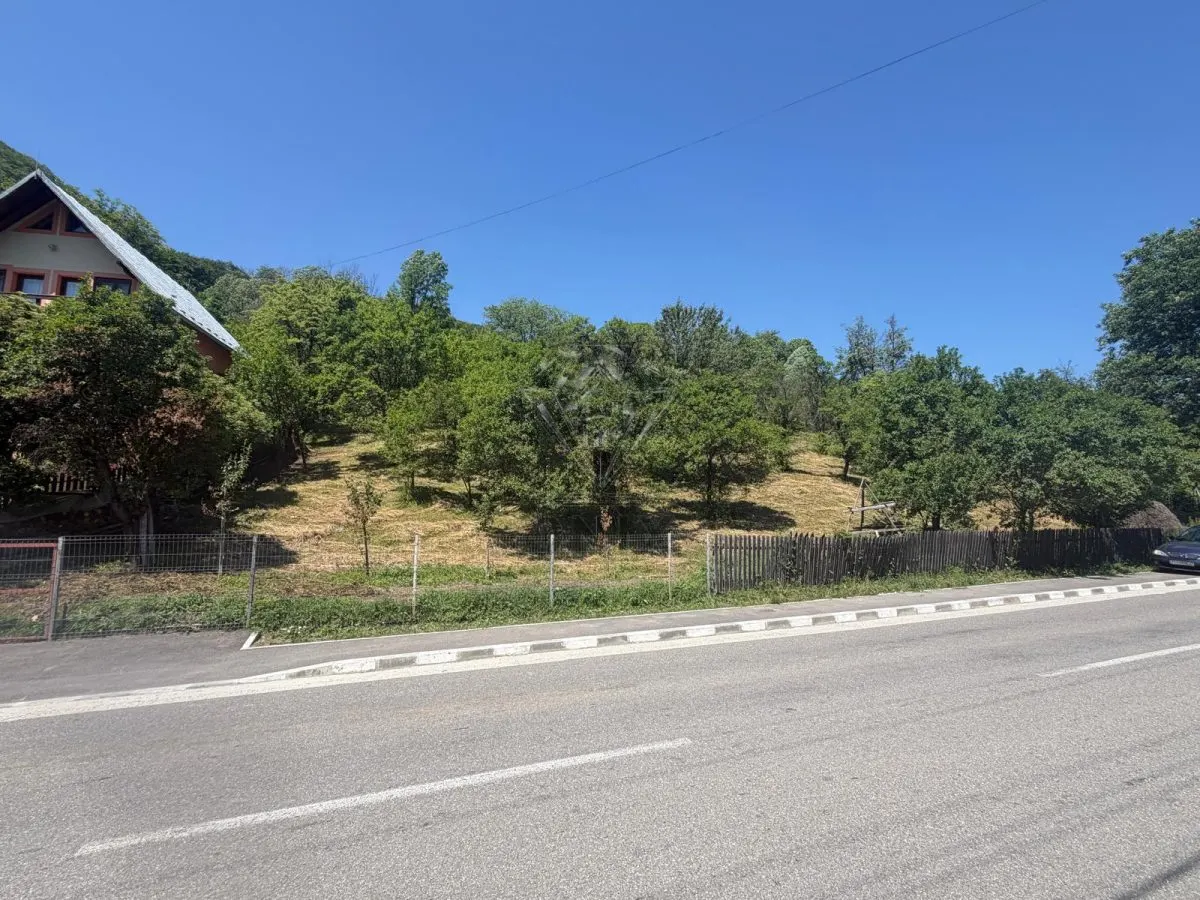 Valea Doftanei山谷Tesila地块 — 公用设施接驳，背靠森林 - foto 4