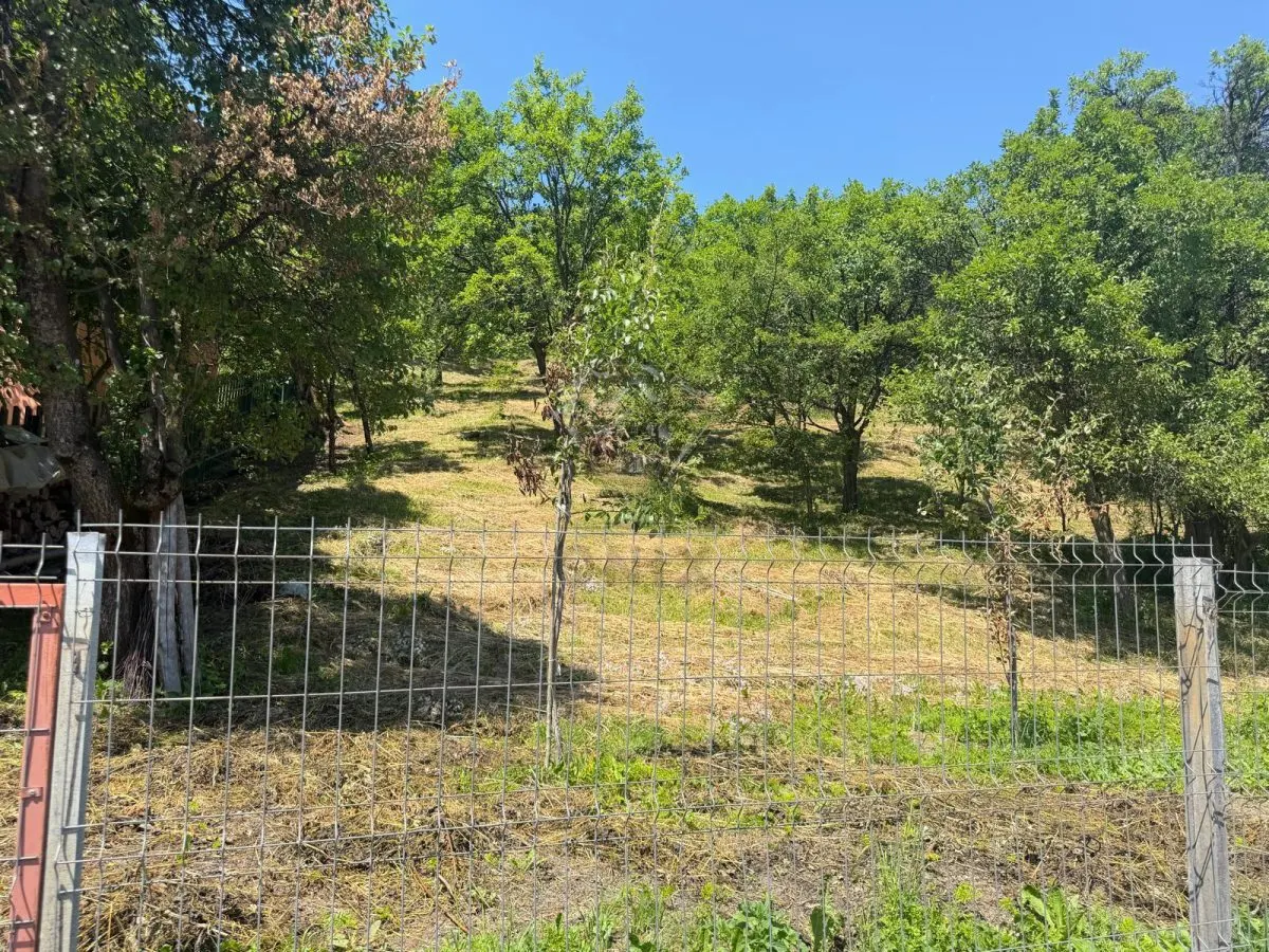 Valea Doftanei山谷Tesila地块 — 公用设施接驳，背靠森林 - foto 5