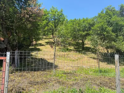 Valea Doftanei山谷Tesila地块 — 公用设施接驳，背靠森林 - foto 6