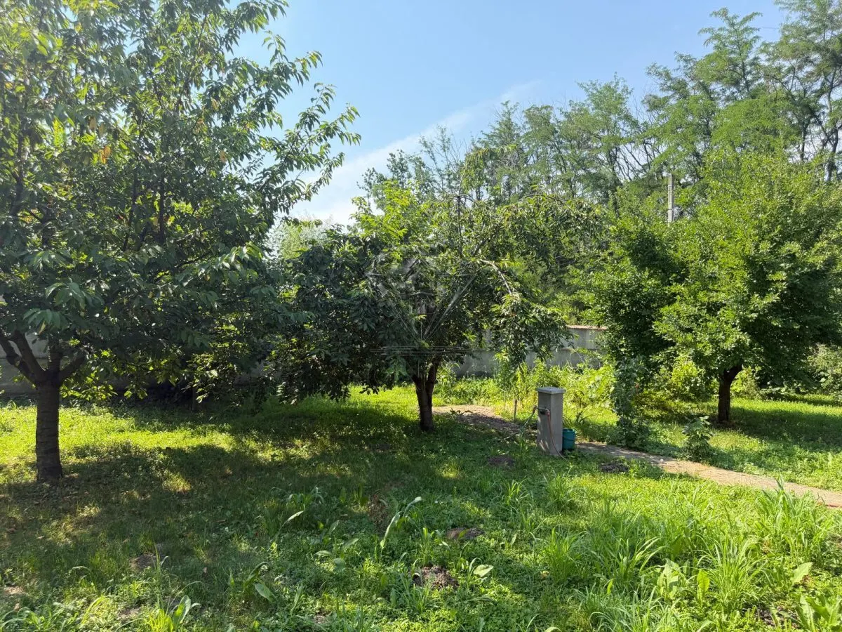 Casa de Madera Maciza | 3 Dormitorios | Parcela 5.000 m² - Berceni Prahova - foto 11