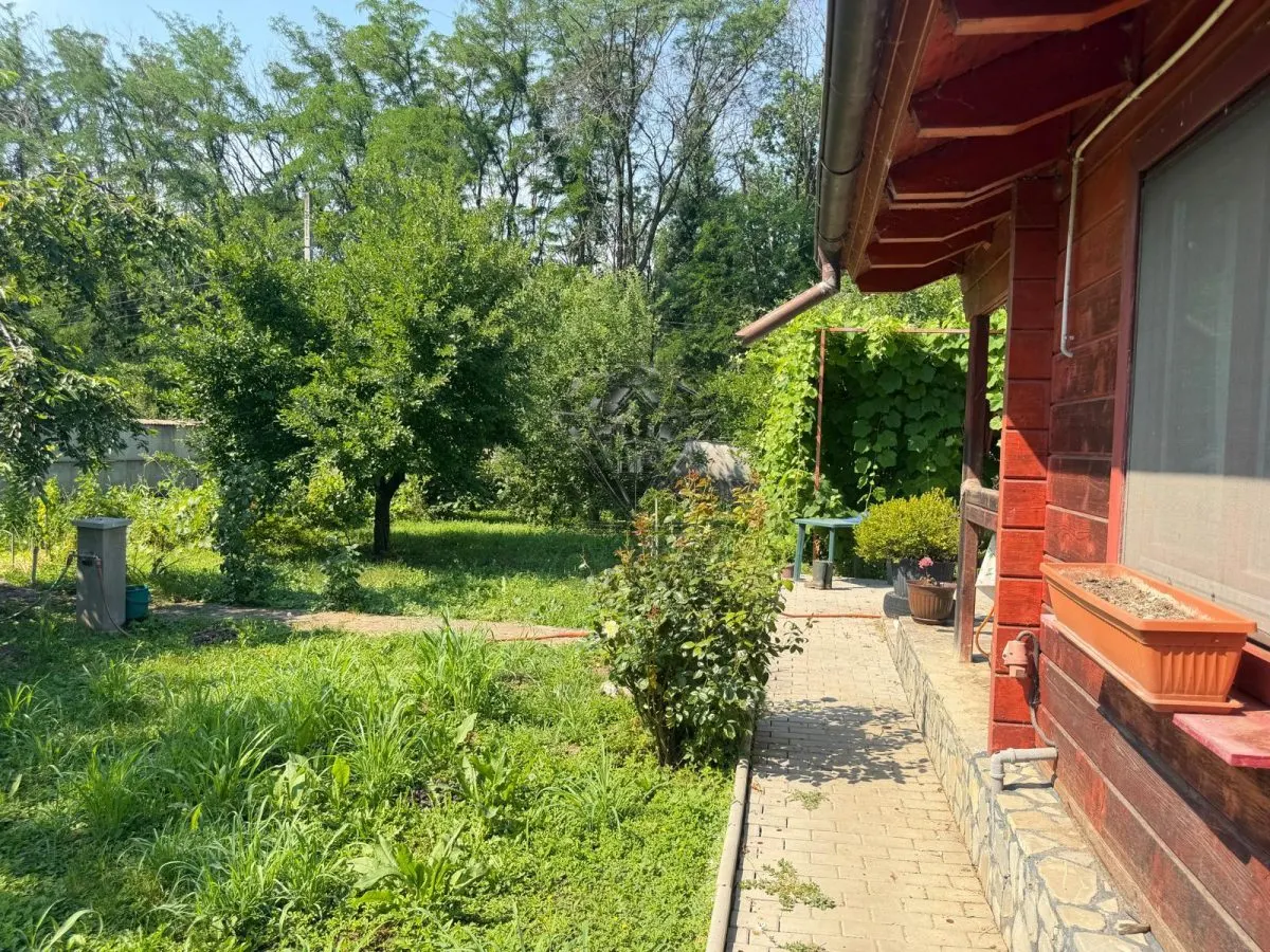 Casa de Madera Maciza | 3 Dormitorios | Parcela 5.000 m² - Berceni Prahova - foto 12