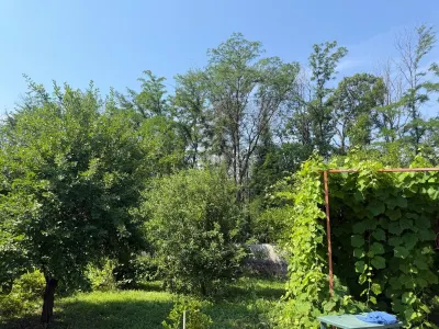 Casa de Madera Maciza | 3 Dormitorios | Parcela 5.000 m² - Berceni Prahova - foto 13