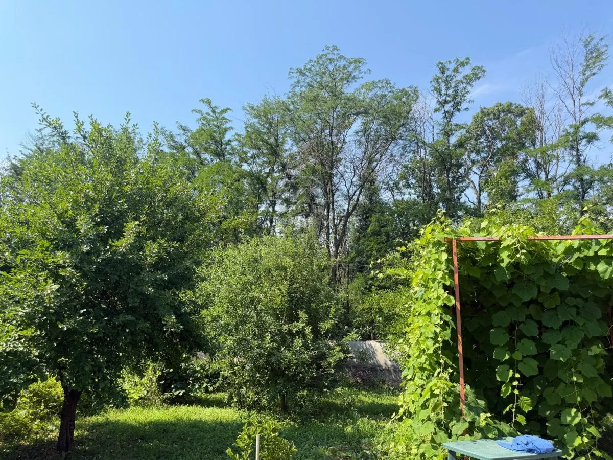 Casa de Madera Maciza | 3 Dormitorios | Parcela 5.000 m² - Berceni Prahova - foto 13