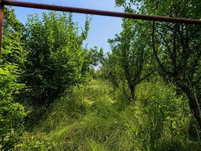 Casa de Madera Maciza | 3 Dormitorios | Parcela 5.000 m² - Berceni Prahova - foto 17
