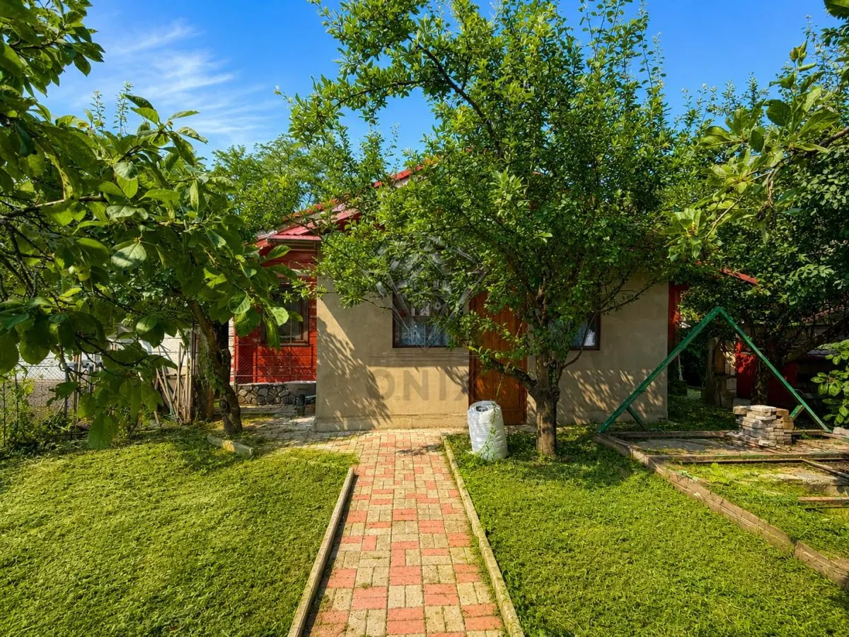 Casa de Madera Maciza | 3 Dormitorios | Parcela 5.000 m² - Berceni Prahova - foto 3