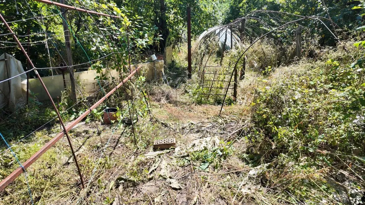 House / villa for sale 108 sqm in Baicoi, Est area - foto 6