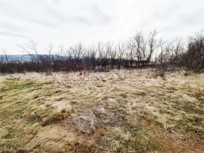 楚雷亚优美景观建筑用地 - Iasi