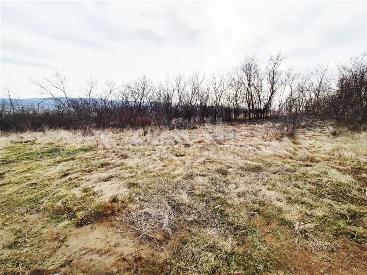 Terrain à Bâtir avec Vue Dégagée à Ciurea - foto 1