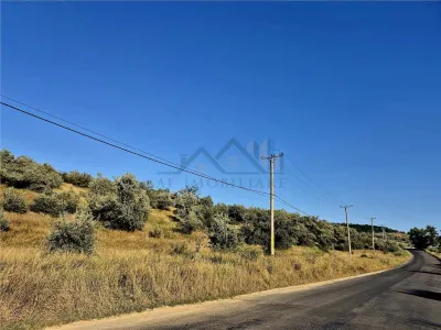 Terrain de 27 660 m² à Letcani - foto 3