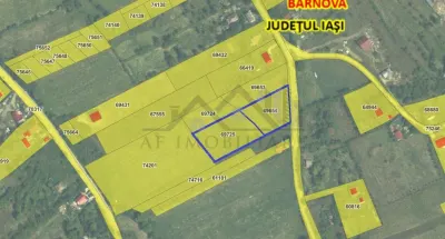 Terrain Exceptionnel, Village de Todirel, Barnova – 9.400 m² - foto 3