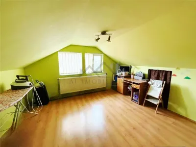 House for Sale in Goruni-Tomesti with Garage and Storage - foto 9