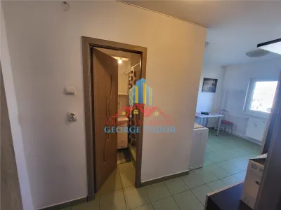 Studio à Louer, Militari Lujerului Politehnica, Baia de Aries - foto 10
