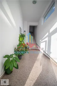 Appartement 2 Pièces, 58 m², Accepte Animaux, Rue Tineretului, Chiajna - foto 25