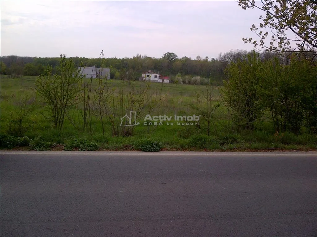 teren intravilan, 5000mp, Ciolpani - accept schimb - foto 1