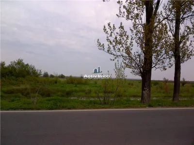 teren intravilan, 5000mp, Ciolpani - accept schimb - foto 2