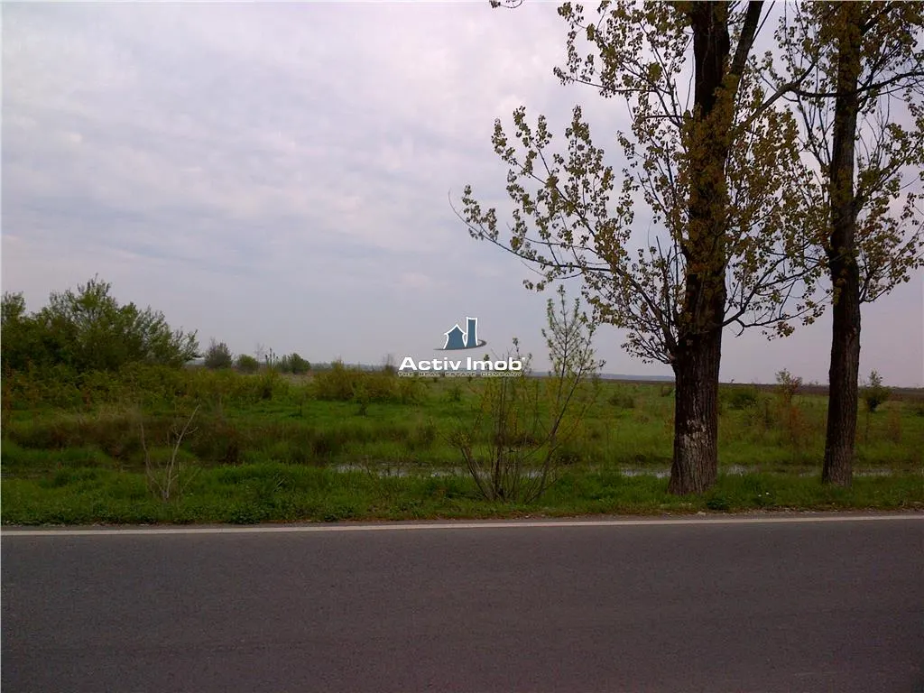 teren intravilan, 5000mp, Ciolpani - accept schimb - foto 2