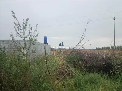 teren intravilan, 5000mp, Ciolpani - accept schimb - foto 3