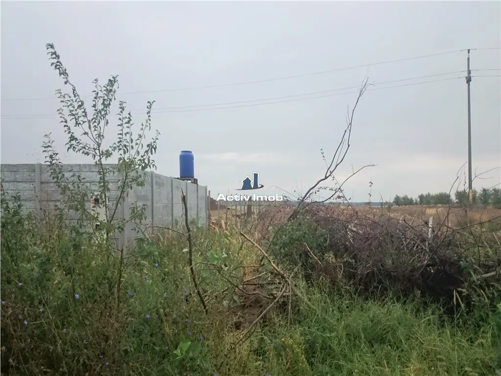 teren intravilan, 5000mp, Ciolpani - accept schimb - foto 3
