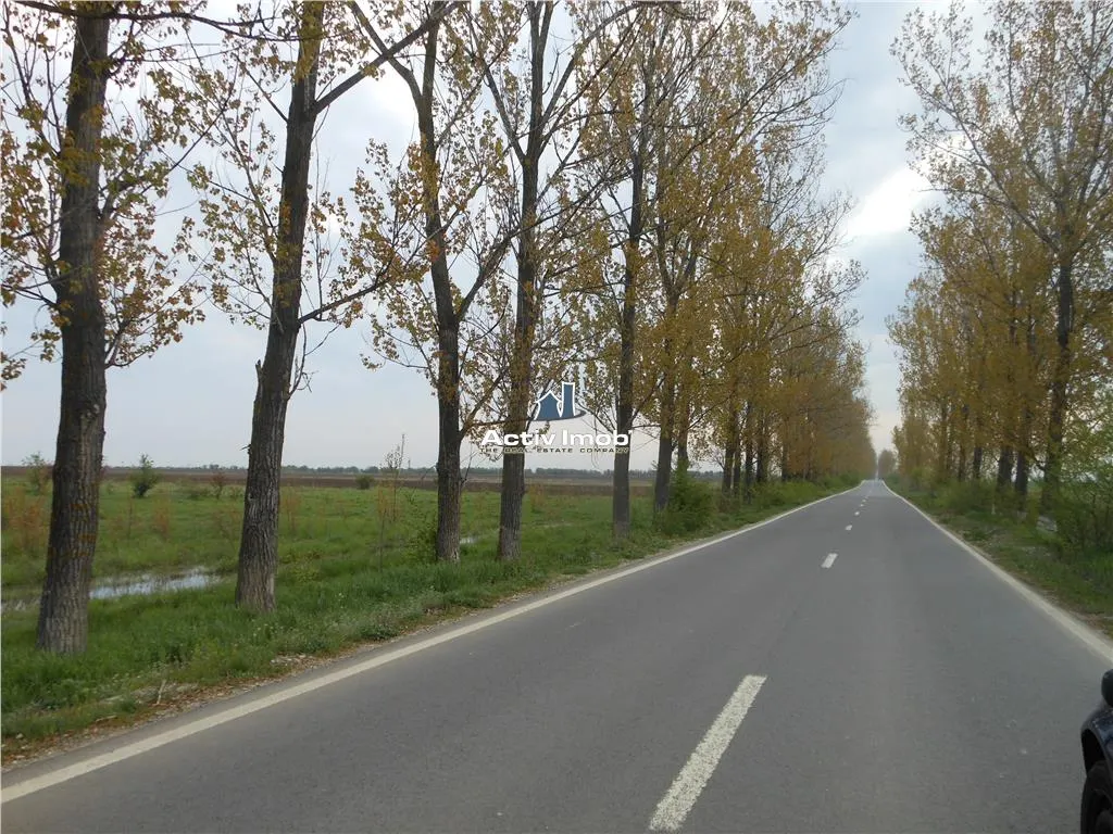 teren intravilan, 5000mp, Ciolpani - accept schimb - foto 5