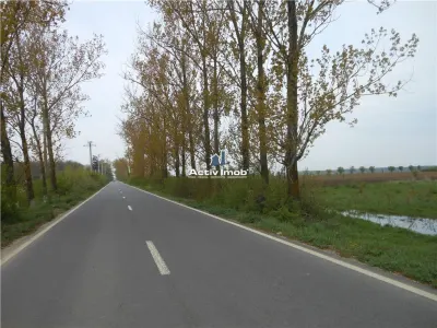 teren intravilan, 5000mp, Ciolpani - accept schimb - foto 6