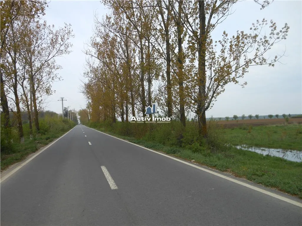 teren intravilan, 5000mp, Ciolpani - accept schimb - foto 6