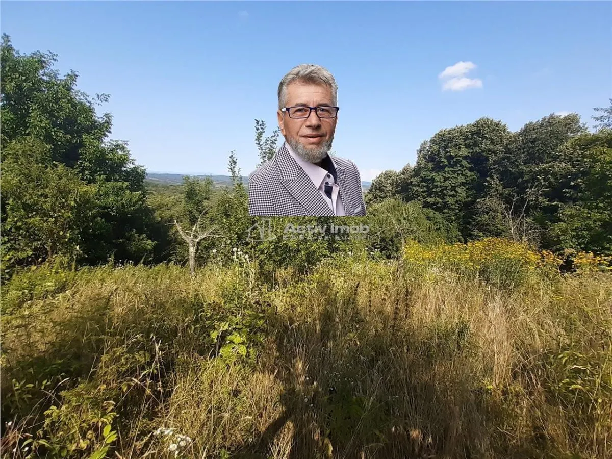 Terrain Resita 5.500 m² - Drumul Lupacului - foto 1