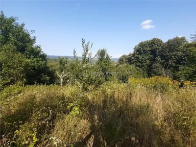 Terrain Resita 5.500 m² - Drumul Lupacului - foto 2