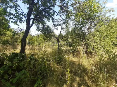 Terrain Resita 5.500 m² - Drumul Lupacului - foto 3
