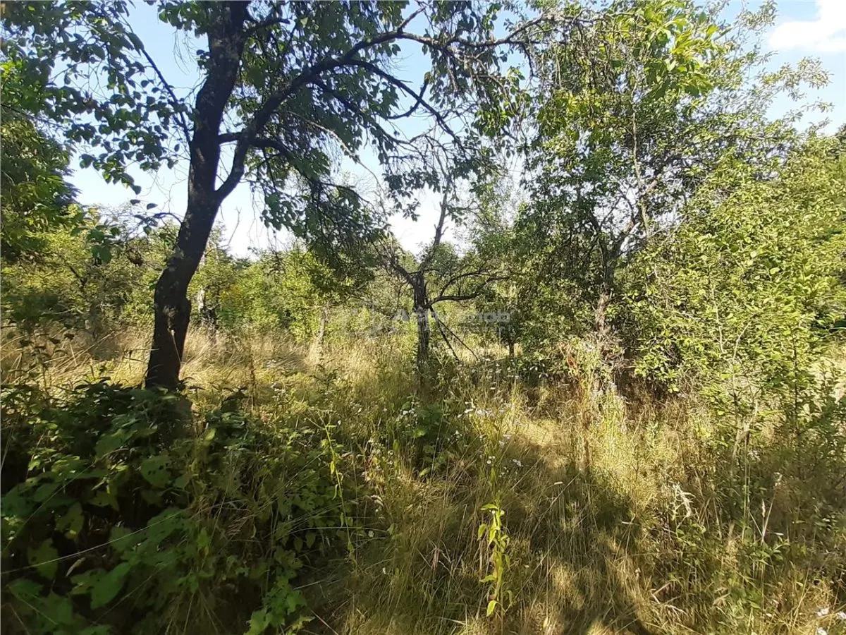 Terrain Resita 5.500 m² - Drumul Lupacului - foto 3