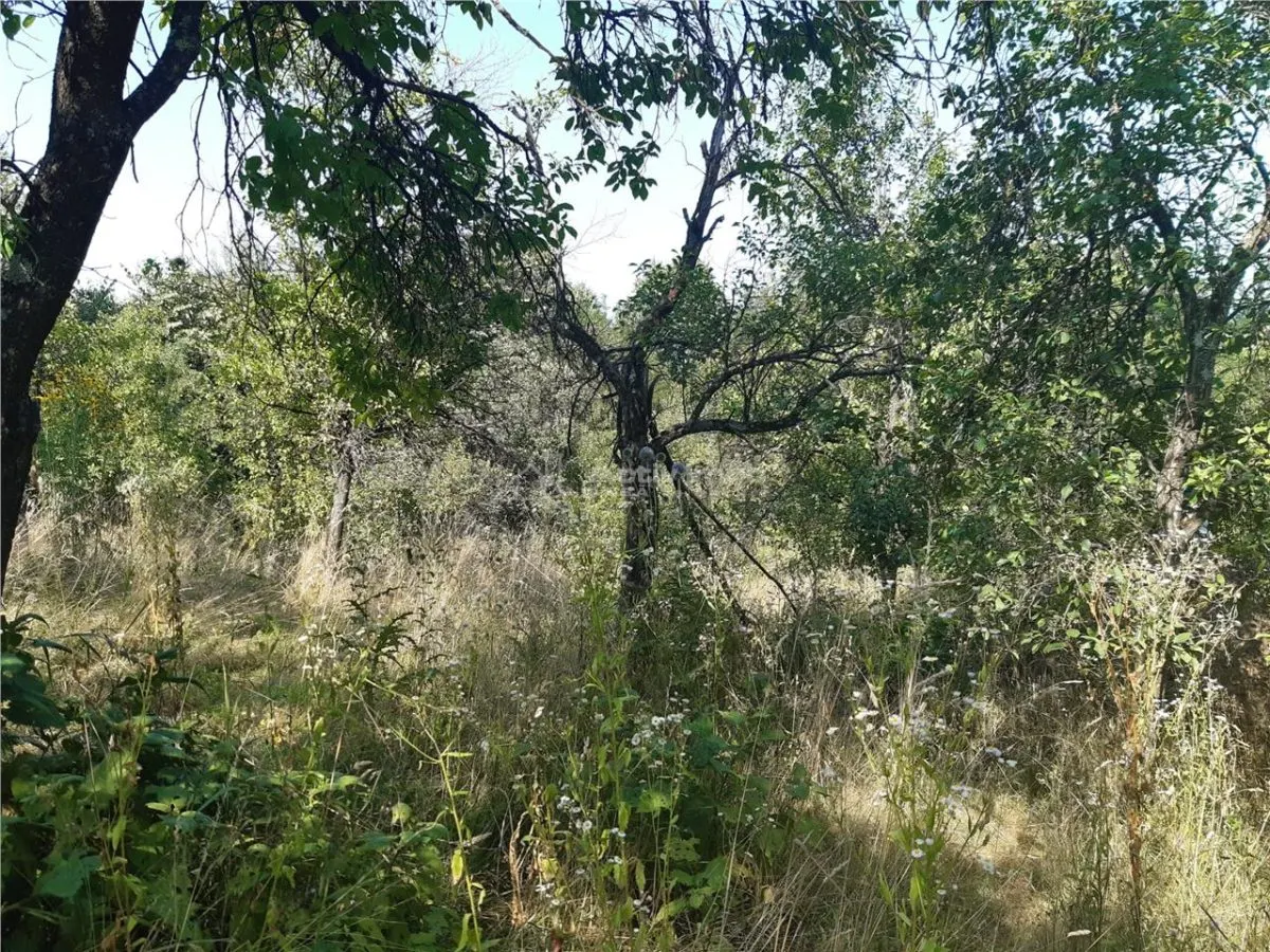 Terrain Resita 5.500 m² - Drumul Lupacului - foto 4