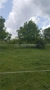 12900mp - teren intravilan - foto 3