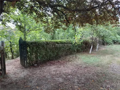 Resita, 5 561 m² Terrain Intravilan en Route Principale, 10€/m² - foto 2
